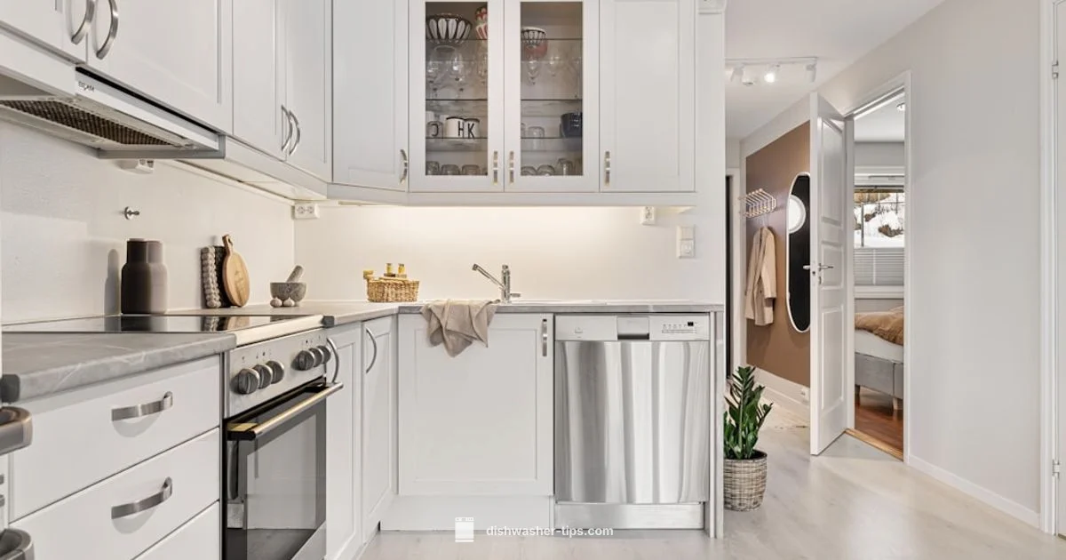 Repair Dishwasher Guide - Dishwasher Tips