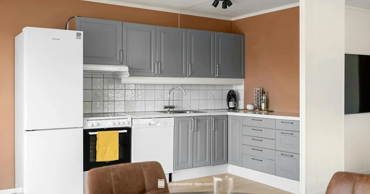 ASKO Repair Guide - Dishwasher Tips