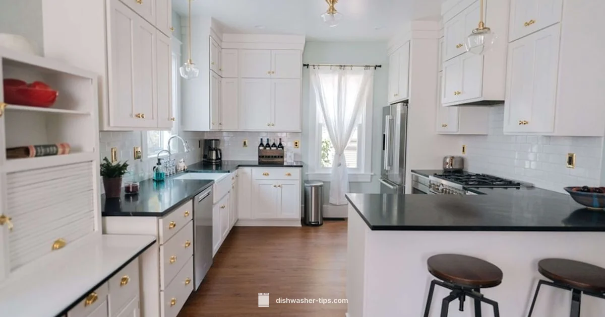 Salt Placement Guide - Dishwasher Tips