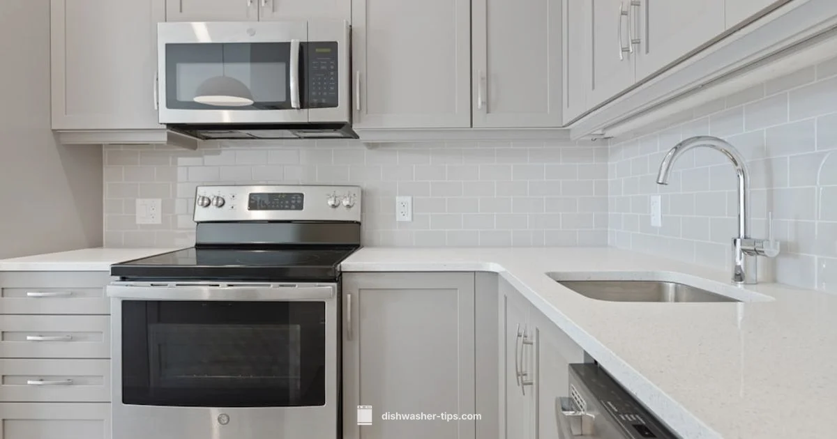 Soap Dispenser Guide - Dishwasher Tips