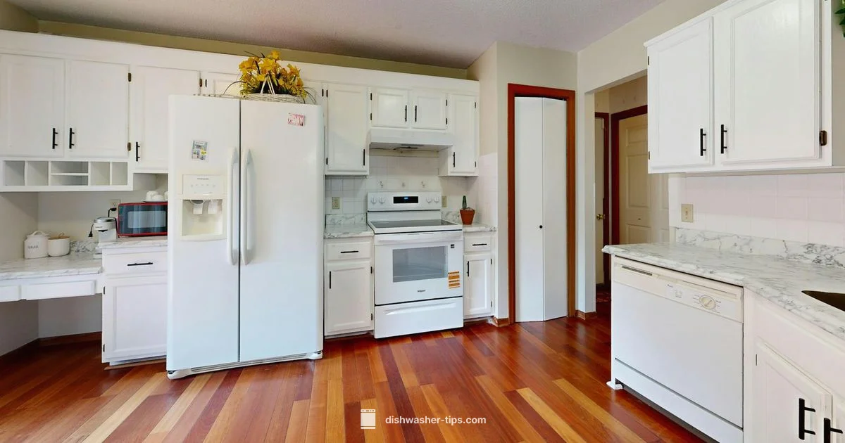 Bosch Dishwasher Care - Dishwasher Tips