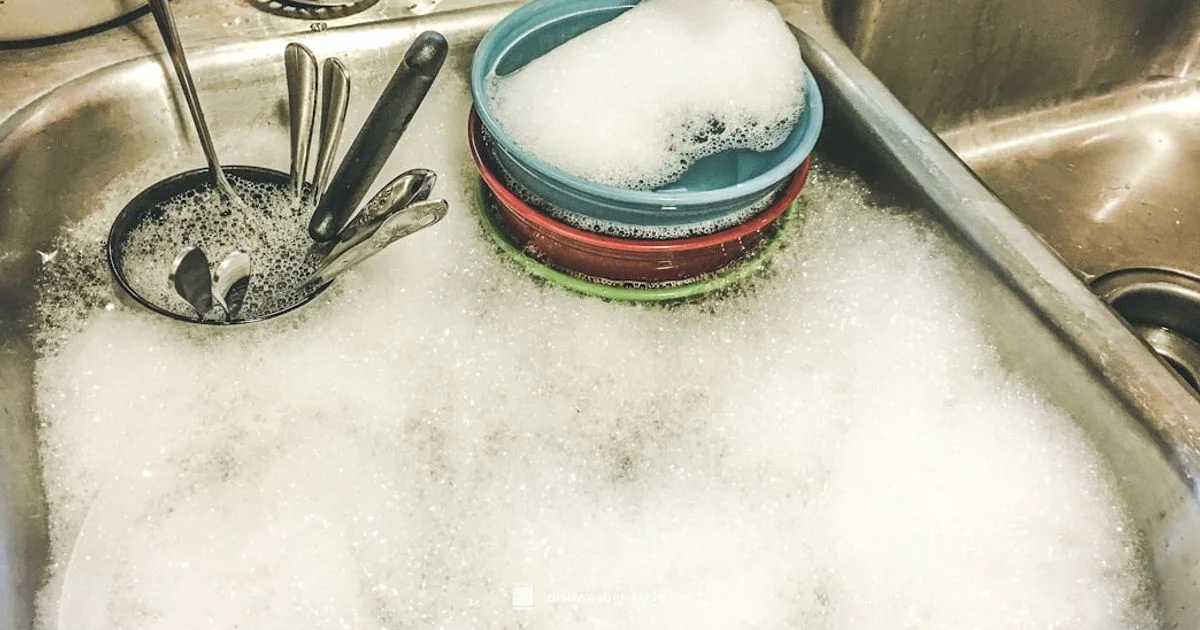 Hard Water Dishwasher - Dishwasher Tips