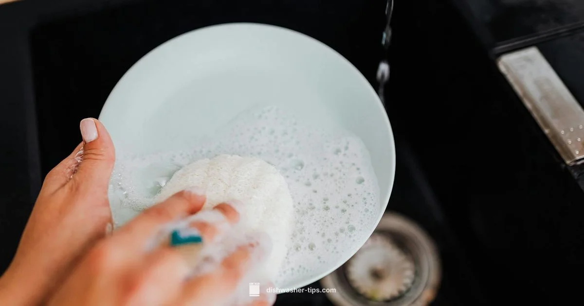 Soap Dissolving Fix - Dishwasher Tips