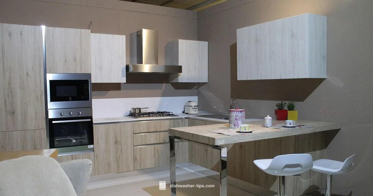 Dishwasher Mastery - Dishwasher Tips