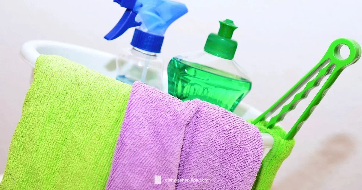 Clean Dishwasher Interior - Dishwasher Tips