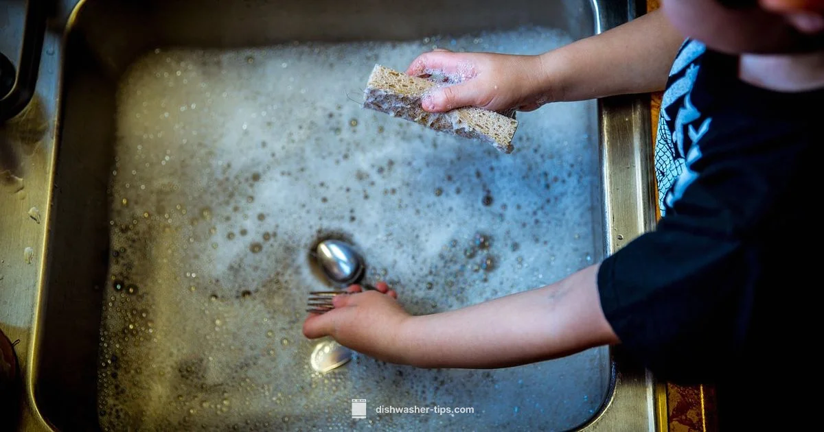 Dishwasher Drain Clean Dishwasher Drain Clean - Dishwasher Tips