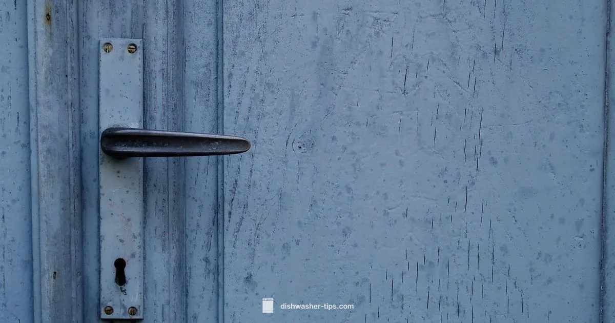 Door Fix Guide - Dishwasher Tips