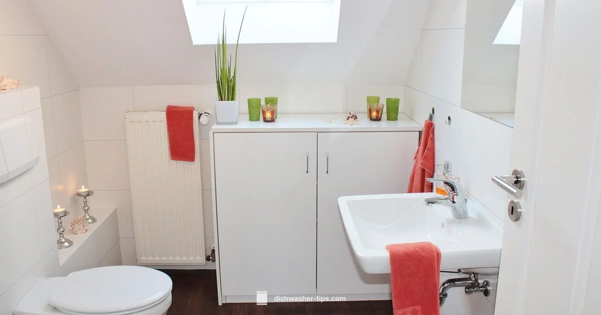 Under Sink Compact - Dishwasher Tips