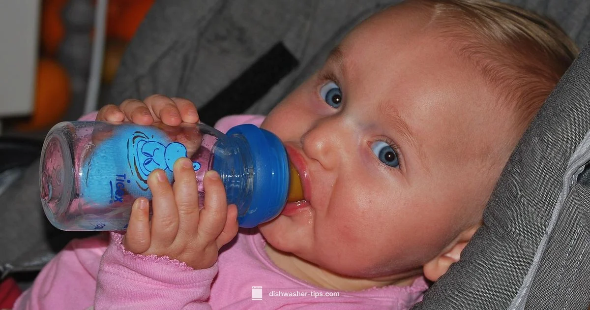 Bottle Care Guide - Dishwasher Tips