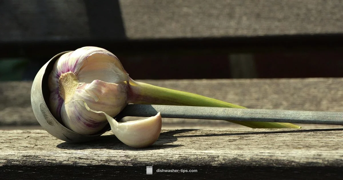 Odor Solutions - Dishwasher Tips