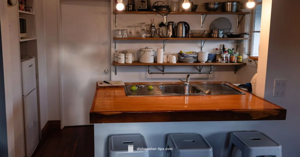 Top Portable Pick - Dishwasher Tips