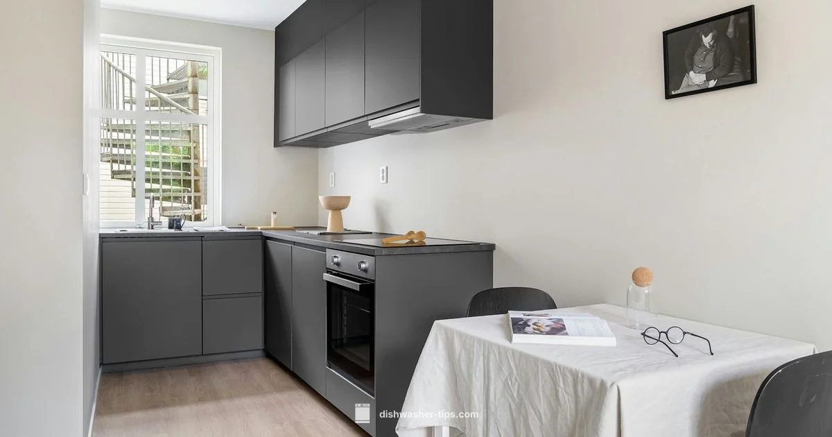 Under Counter Dishwasher - Dishwasher Tips
