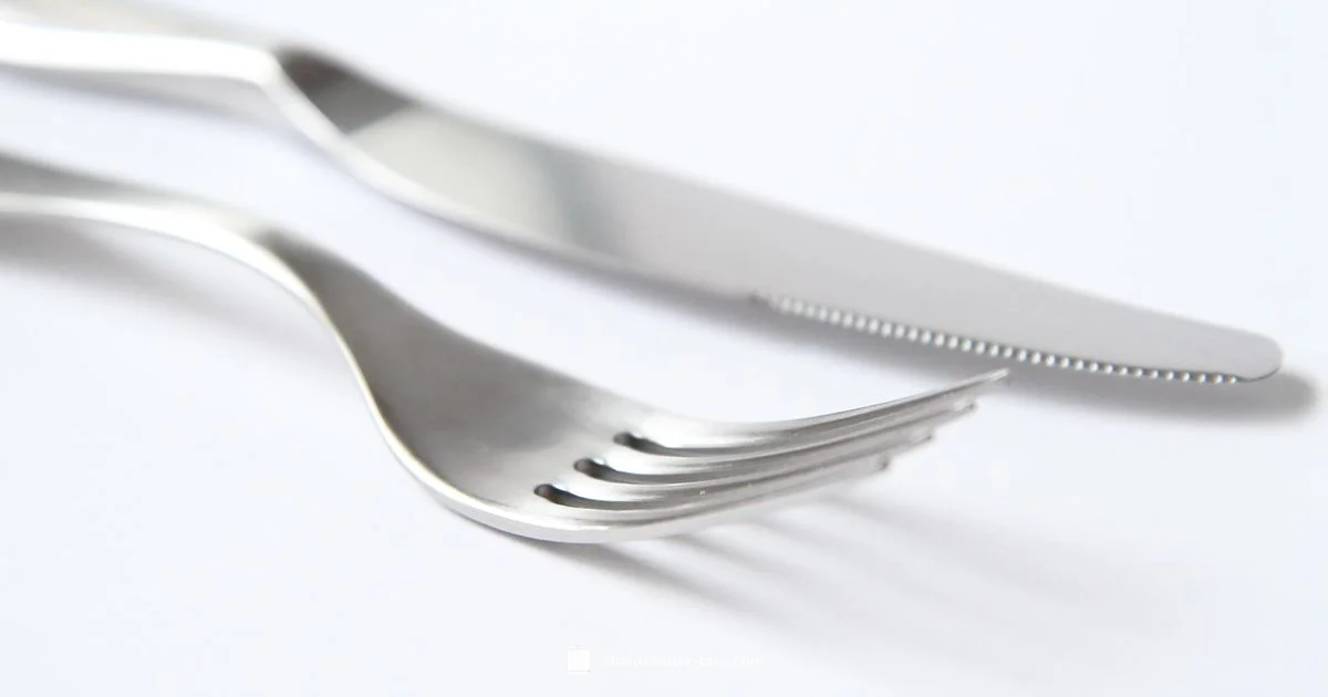 DW80K5050US Review - Dishwasher Tips