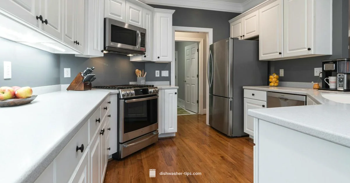 Drainage Not Draining - Dishwasher Tips