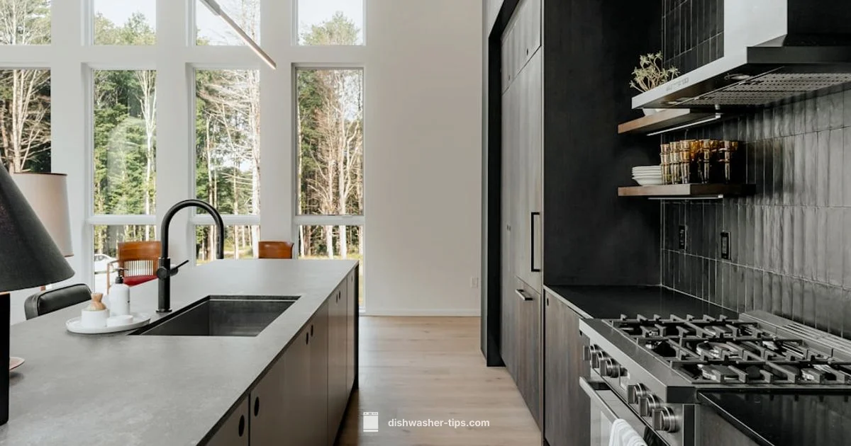 Dishwasher Service Near You Dishwasher Service Near You - Dishwasher Tips