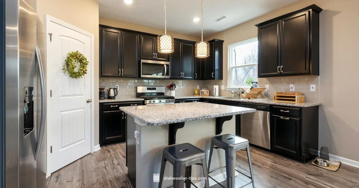 Black Stainless Finish - Dishwasher Tips