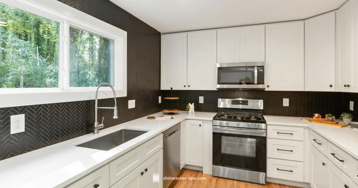 Bosch E09 Fix Guide - Dishwasher Tips