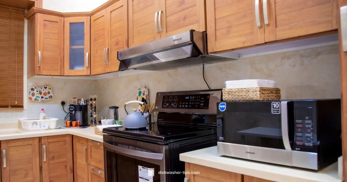 Lower Dishwasher Height - Dishwasher Tips