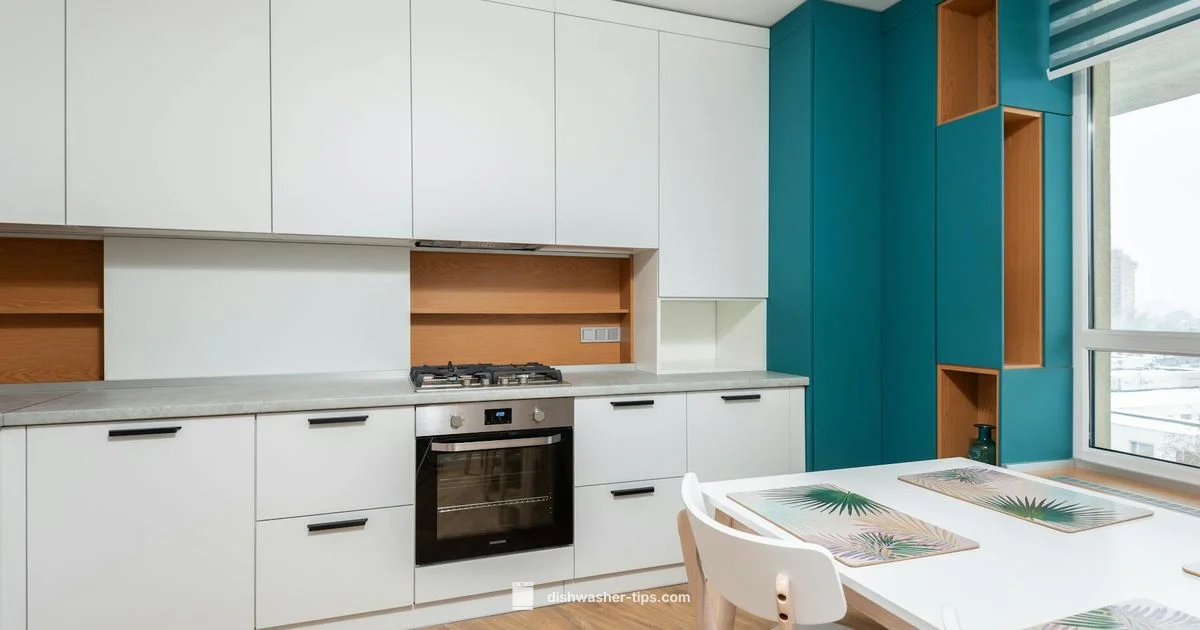 Budget-Friendly Dishwashers - Dishwasher Tips