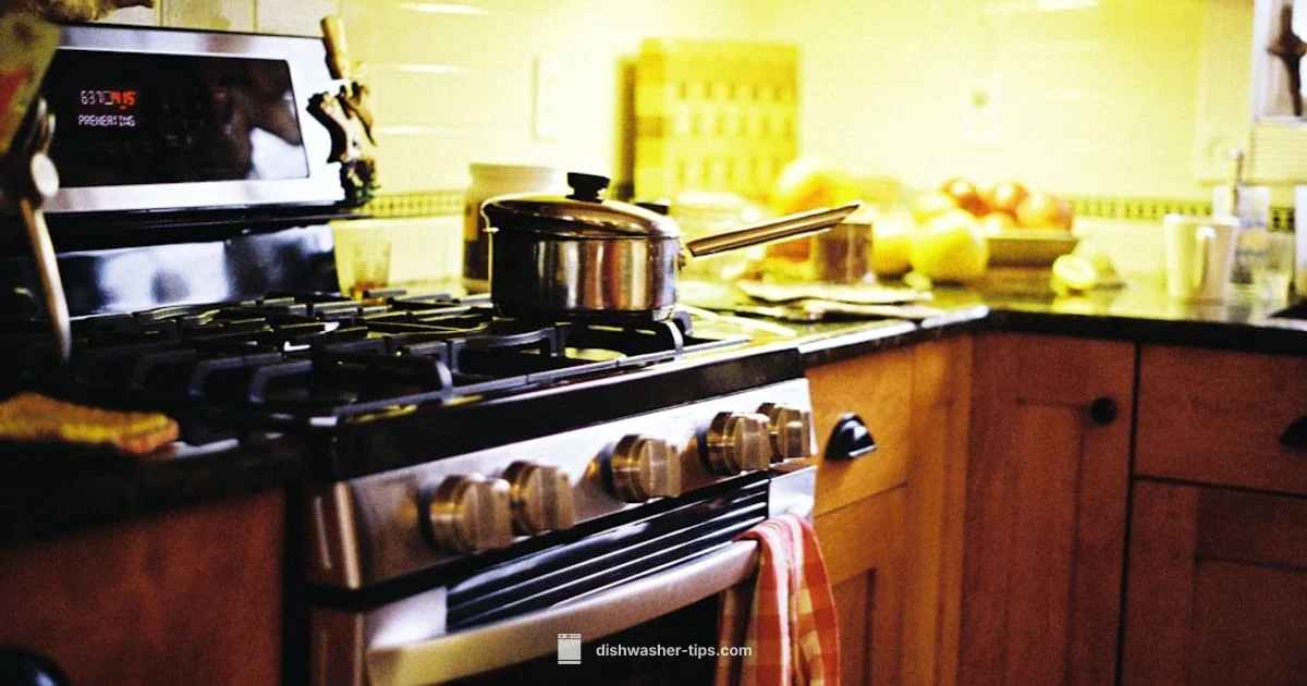 Heating Element Guide - Dishwasher Tips
