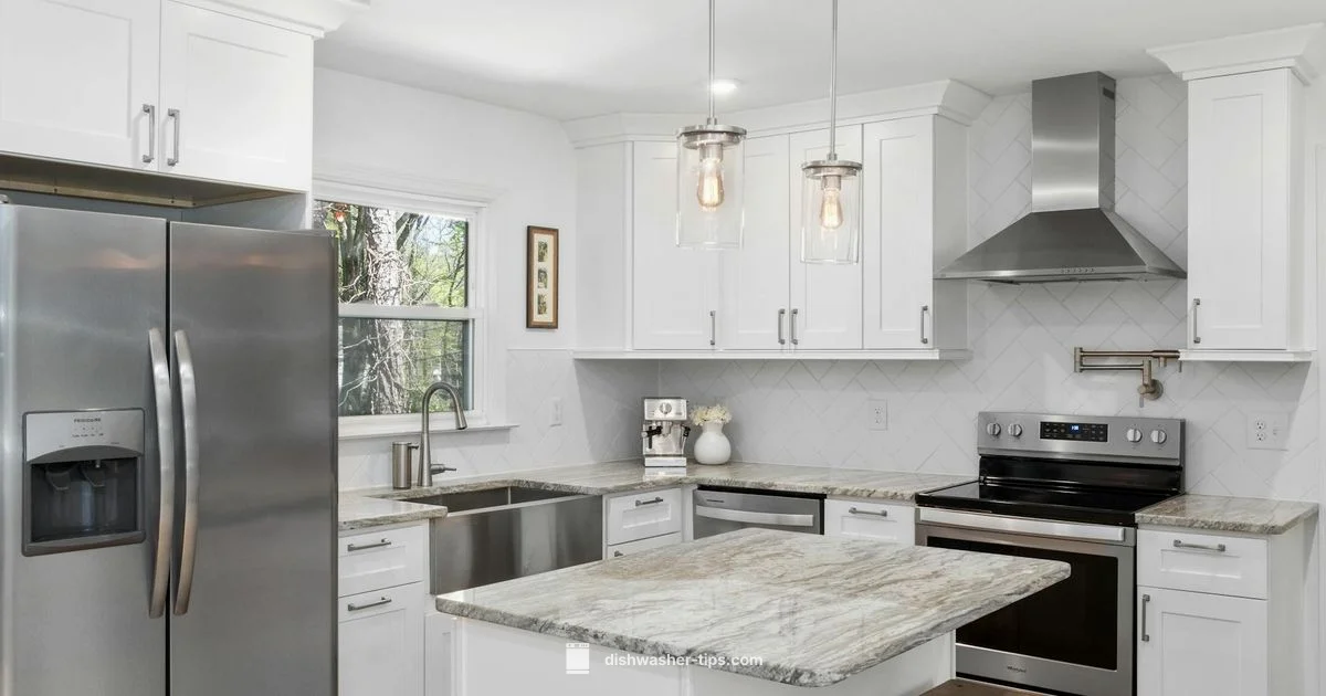 Single Drawer Dishwashers - Dishwasher Tips