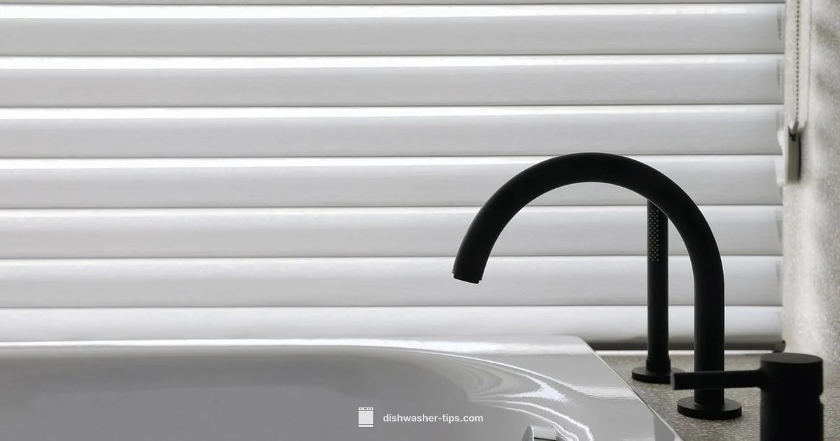 Toilet Tank Safety - Dishwasher Tips