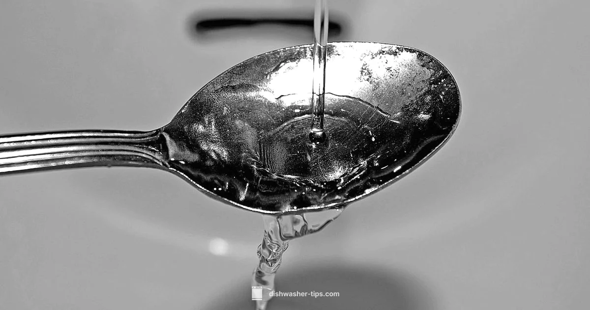 Rinse Aid Guide - Dishwasher Tips