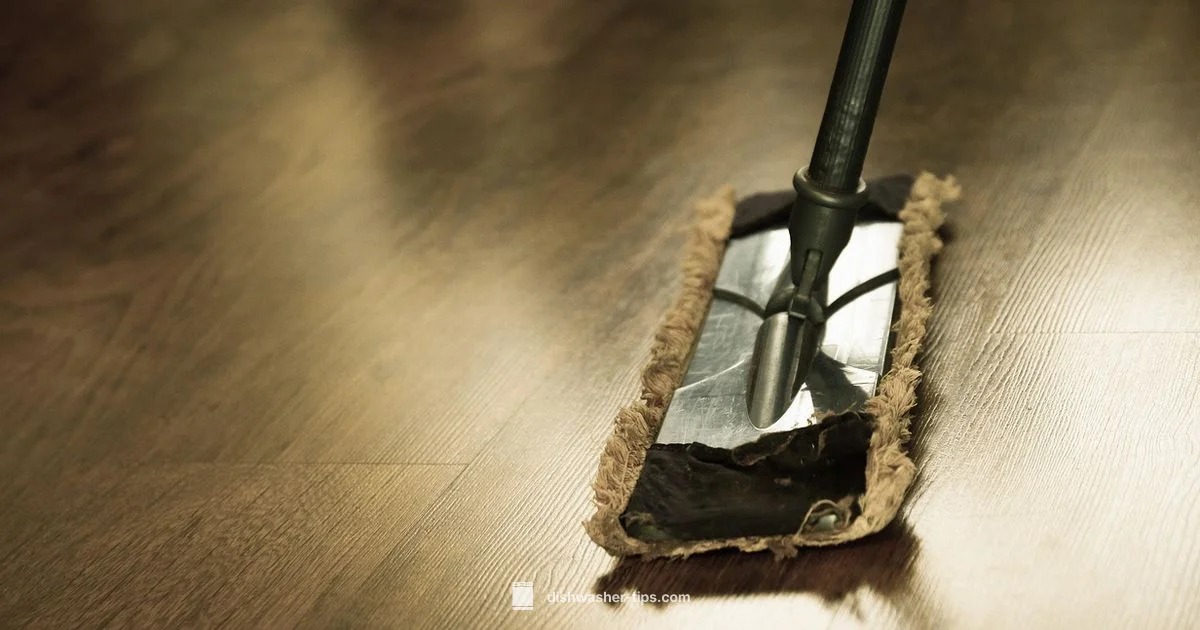 Clean Filter Guide - Dishwasher Tips