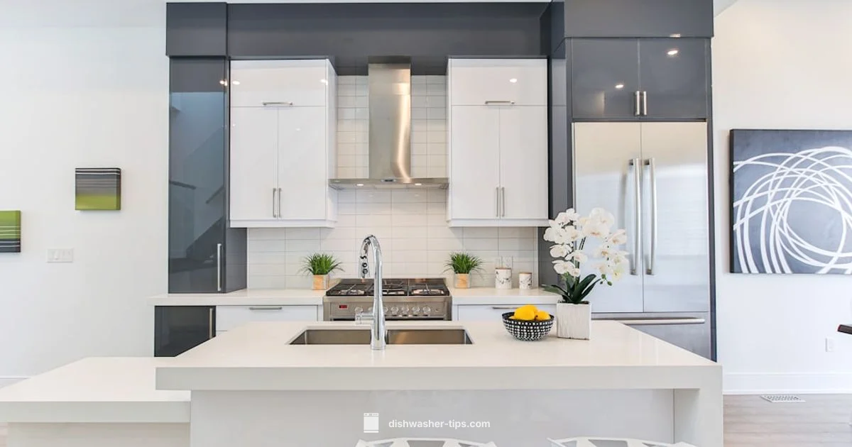 Professional Dishwasher Repair - Dishwasher Tips