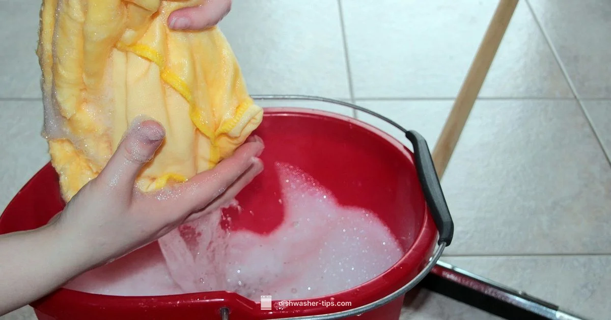 Filter Cleaning Guide - Dishwasher Tips