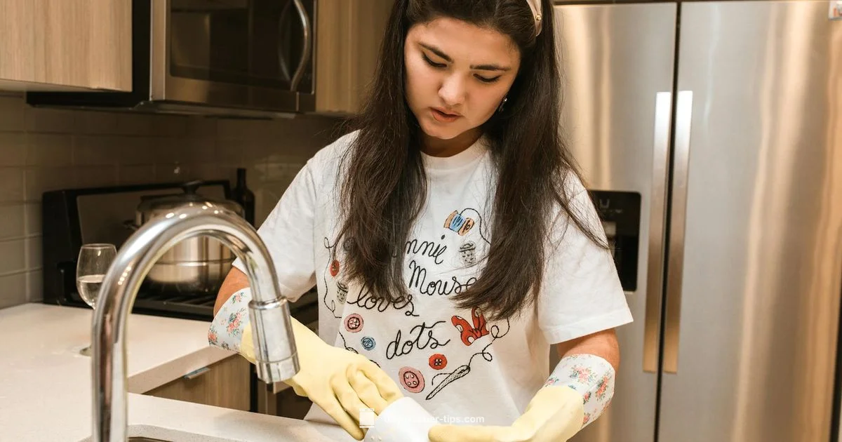 Mold Cleanup Guide - Dishwasher Tips