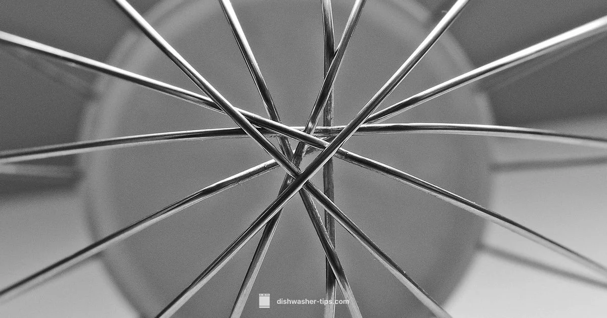 Lifespan Guide - Dishwasher Tips