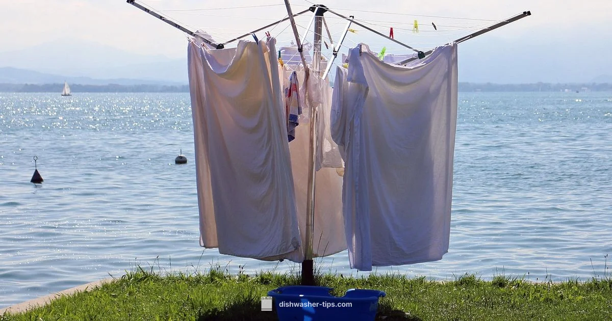 Bottle Cleaning Guide - Dishwasher Tips