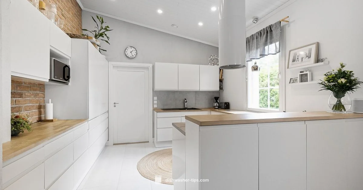 Best Dishwashers SG - Dishwasher Tips
