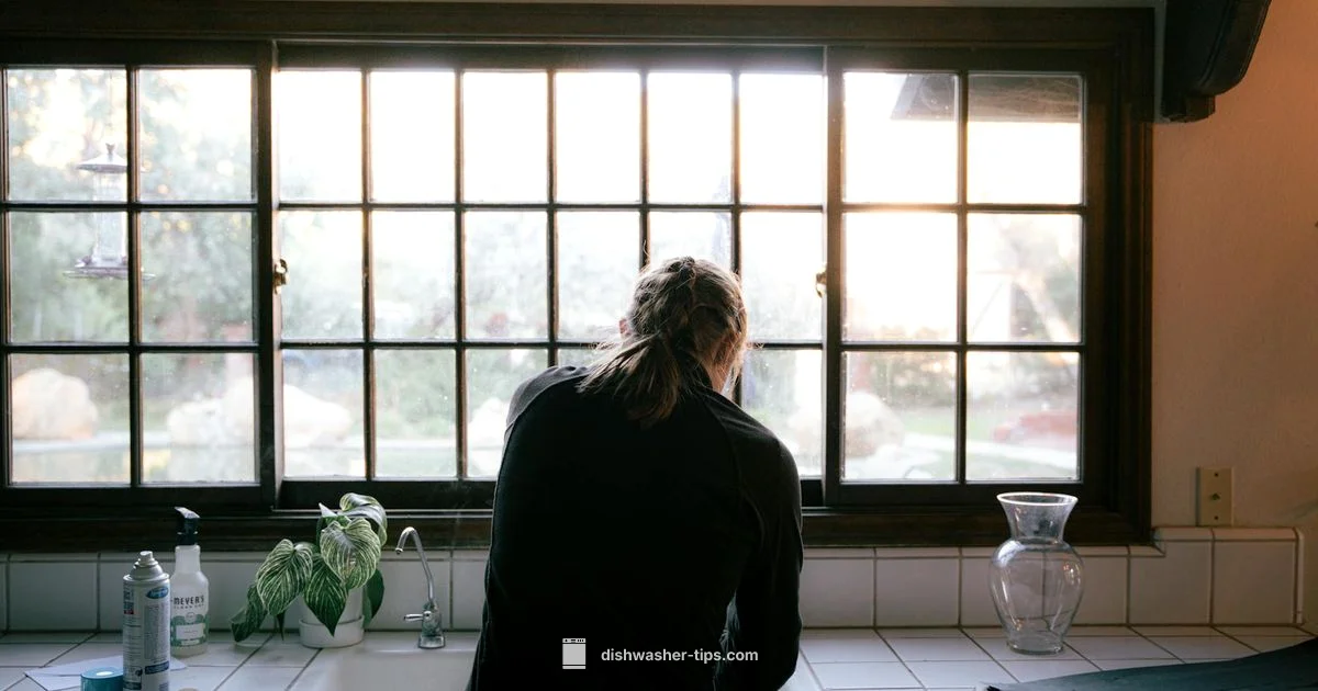 Windowless Design - Dishwasher Tips