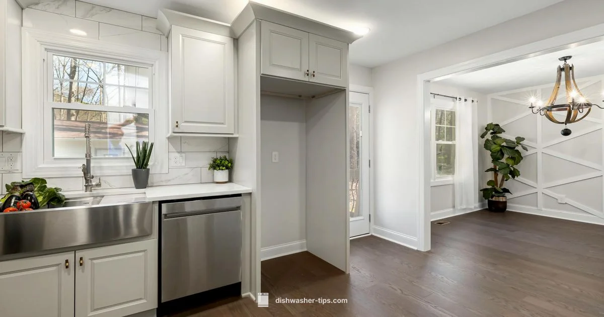 Drain Fix Guide - Dishwasher Tips