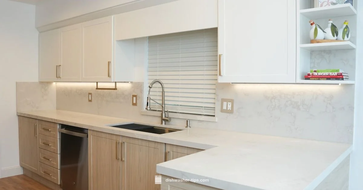 Reset Guide - Dishwasher Tips