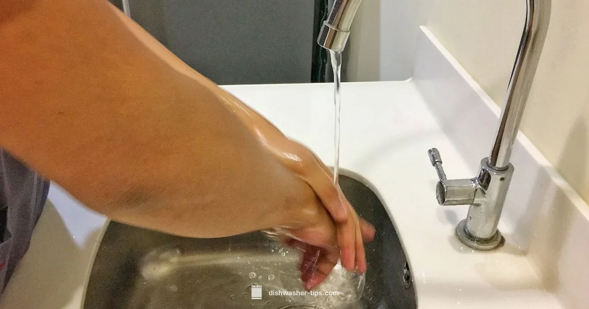 Inlet Valve Fix - Dishwasher Tips