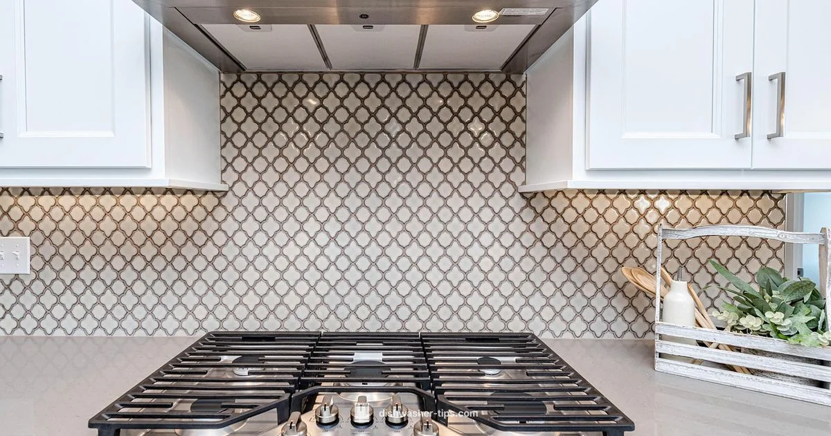 Dishwasher Removal - Dishwasher Tips