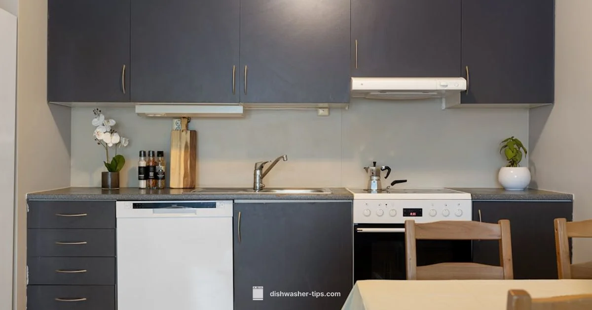 Compact Dishwasher Guide - Dishwasher Tips