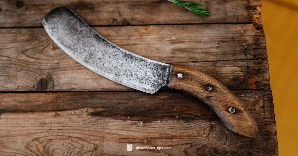 Knife Care Guide - Dishwasher Tips