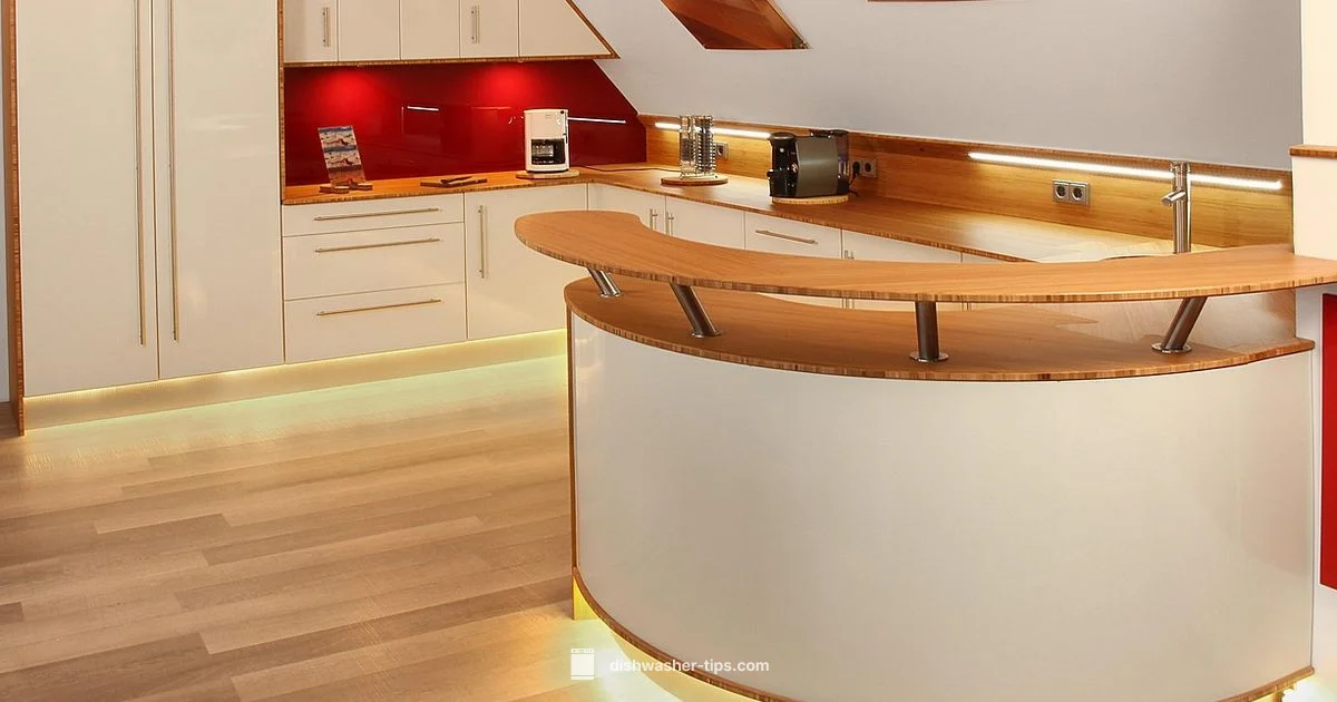 Integrated Dishwasher Panels - Dishwasher Tips