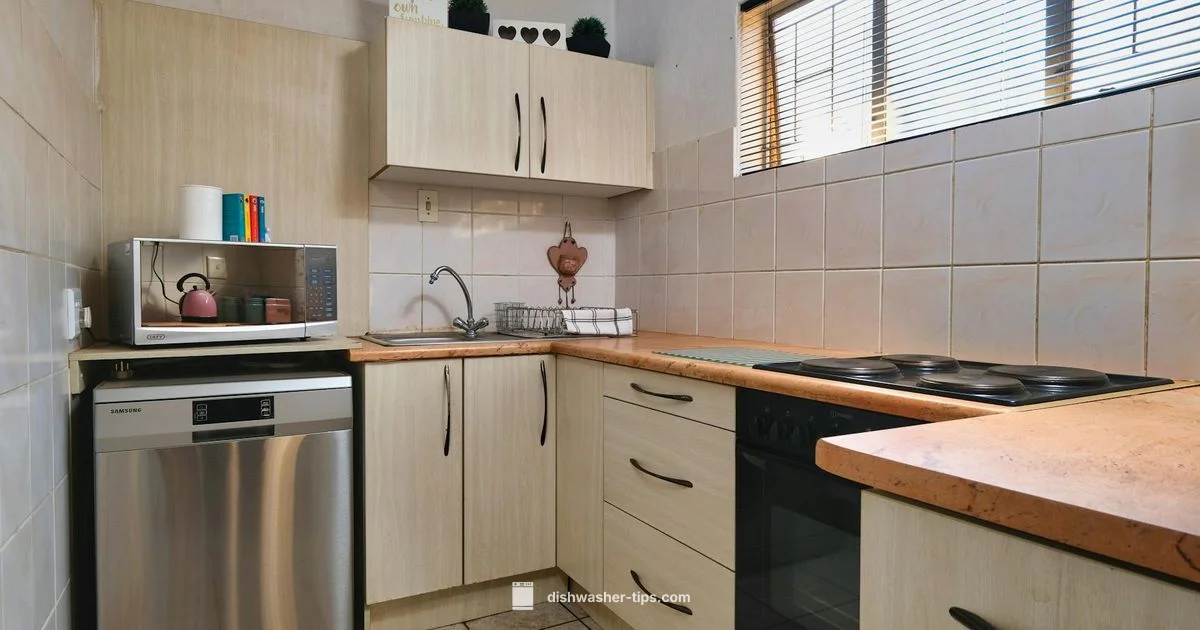 GE Dishwasher Insights - Dishwasher Tips