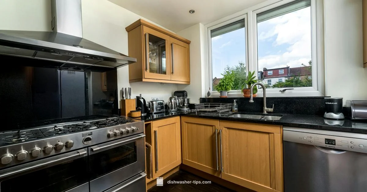 Pods in Action - Dishwasher Tips