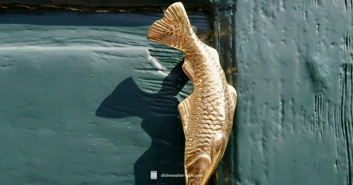 Door Gasket Guide - Dishwasher Tips