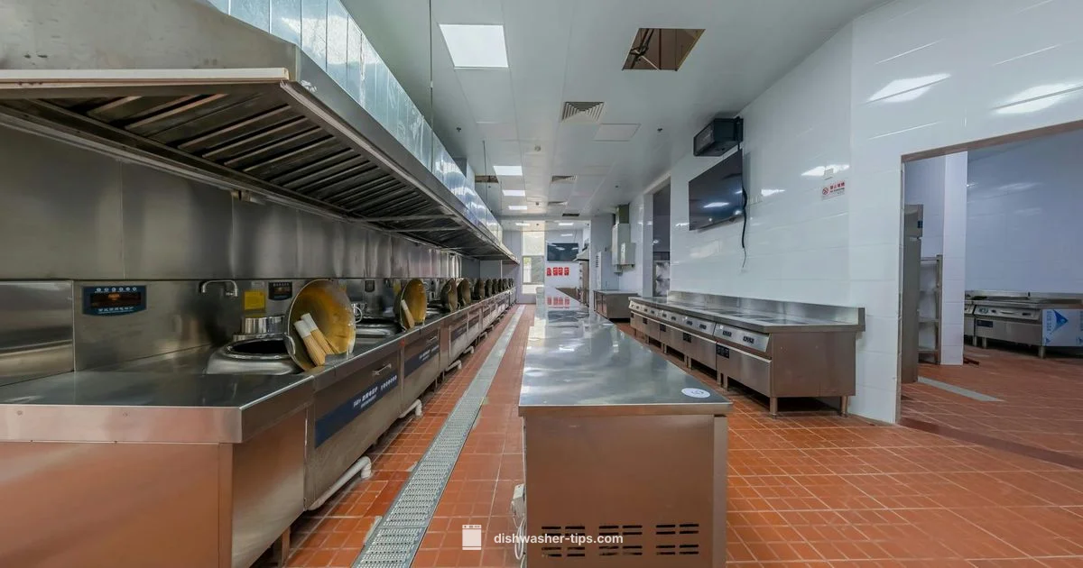 Undercounter Industrial Dishwasher - Dishwasher Tips