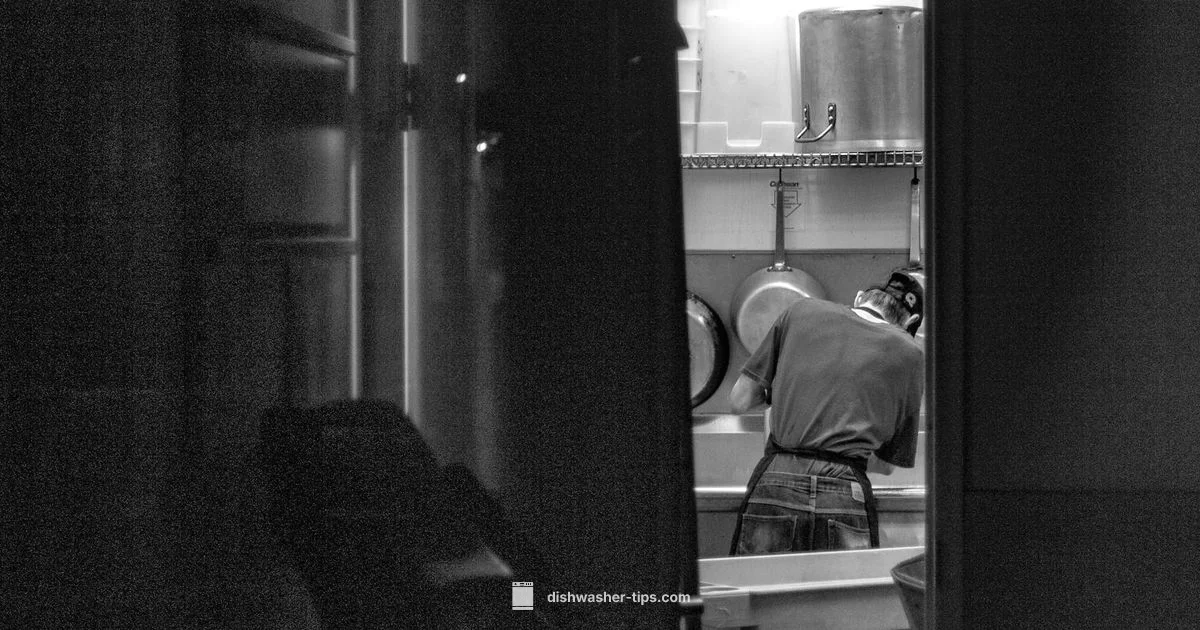 Dishwasher Won’t Start - Dishwasher Tips