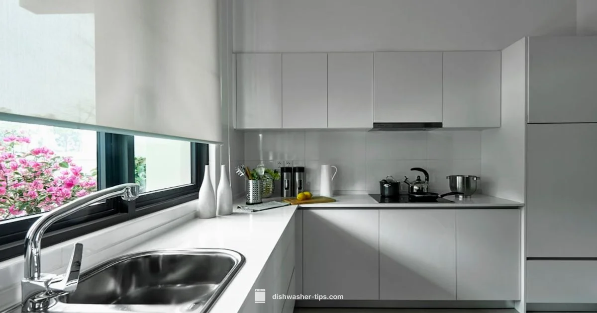 Water-Smart Dishwashing - Dishwasher Tips