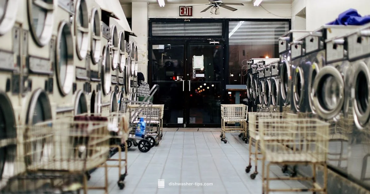 Salt in Dishwasher - Dishwasher Tips