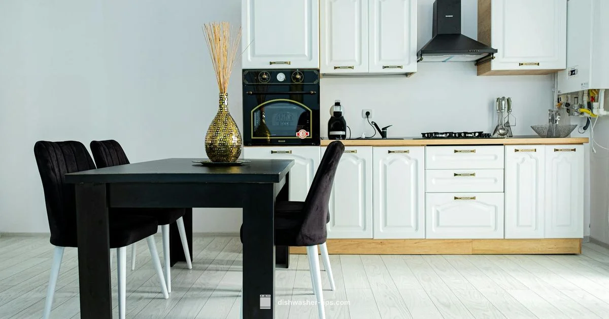 Black Dishwashers - Dishwasher Tips